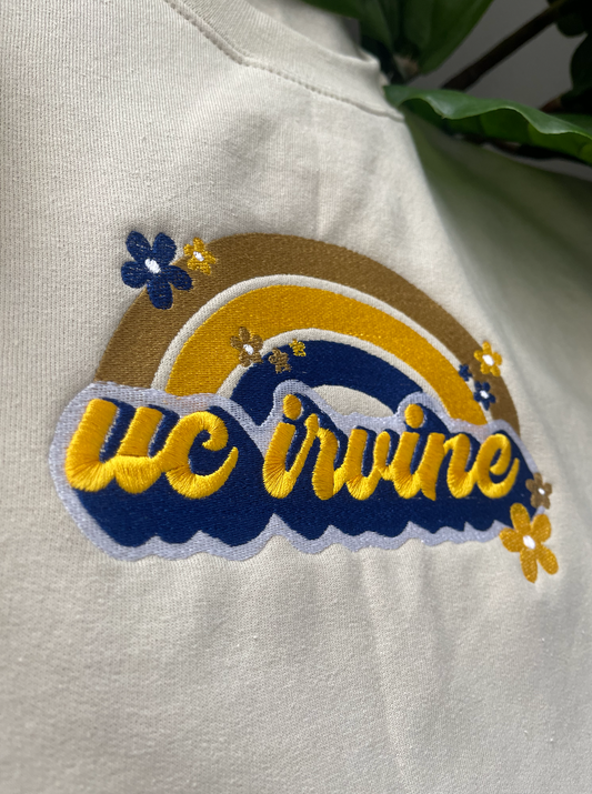 Groovy UC Irvine